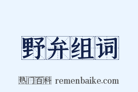 野弁组词是什么意思的图片